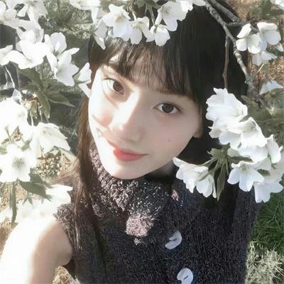 诺姆·麦克唐纳:毫无特别